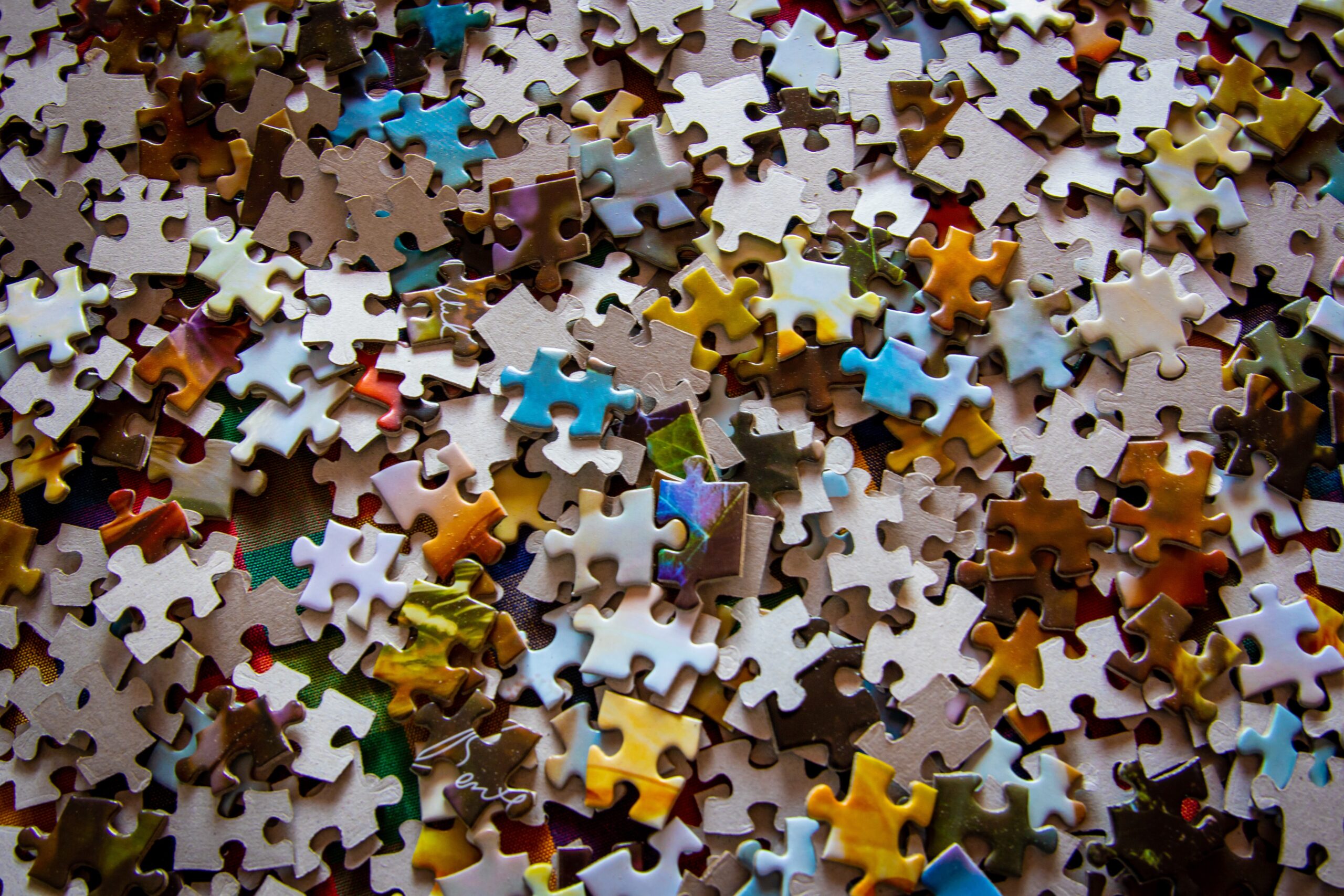 HOW TO CHOOSE THE RIGHT FRANCHISE –  The Pieces of the Puzzle