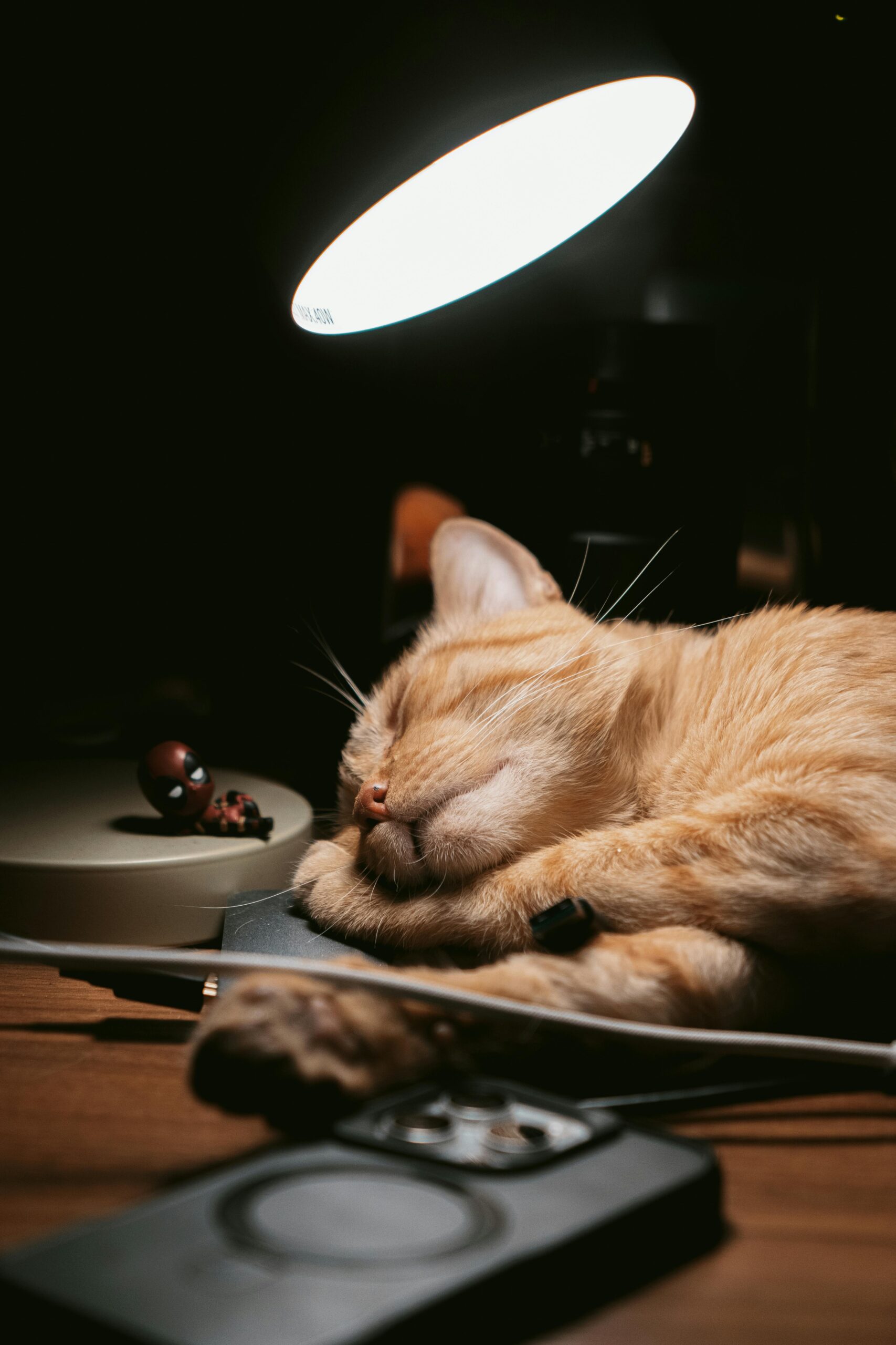 COMPLACENCY KILLS A BUSINESS FASTER THAN COMPETITION EVER COULD